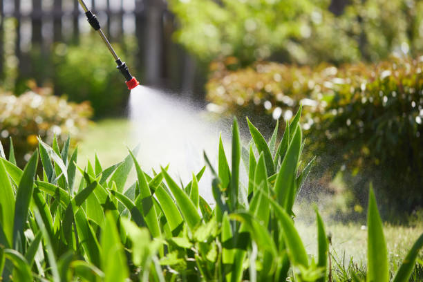 24/7 Emergency Mosquito Control experts in Manchester, KY