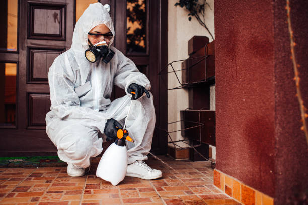 Reliable Mosquito Control contractor in Manchester, KY by Show Me Pest Control